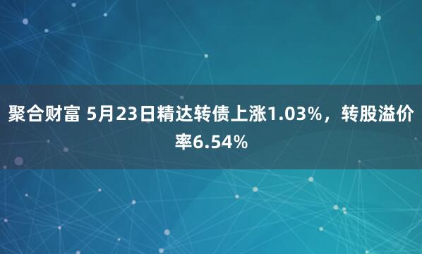 聚合财富 5月23日精达转债上涨1.03%，转股溢价率6.54%