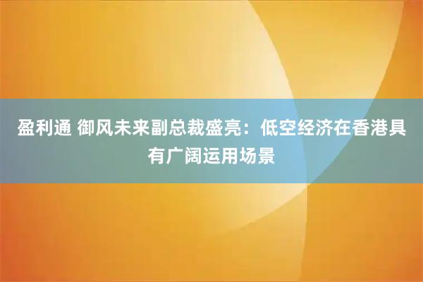 盈利通 御风未来副总裁盛亮：低空经济在香港具有广阔运用场景