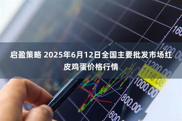 启盈策略 2025年6月12日全国主要批发市场红皮鸡蛋价格行情