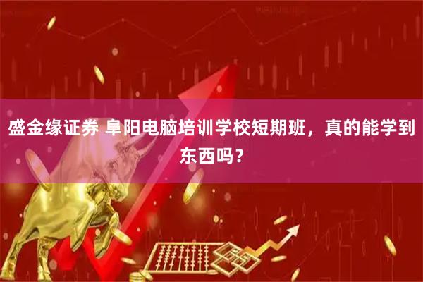 盛金缘证券 阜阳电脑培训学校短期班，真的能学到东西吗？